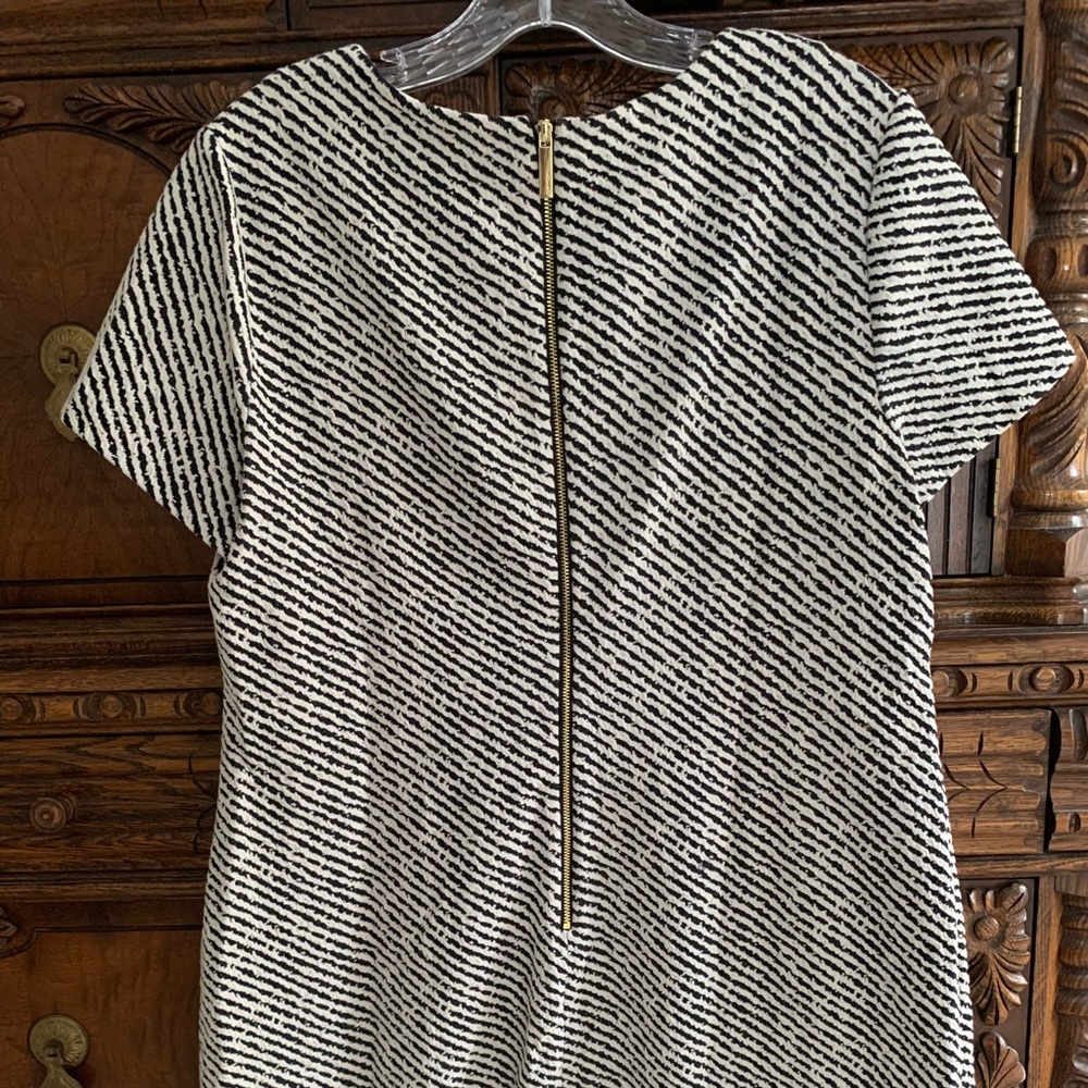 Calvin Klein career dress